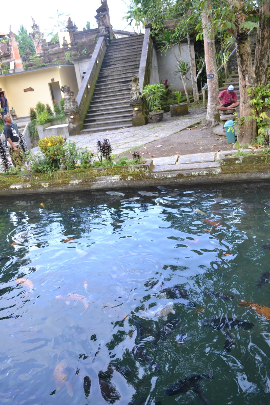 Bali