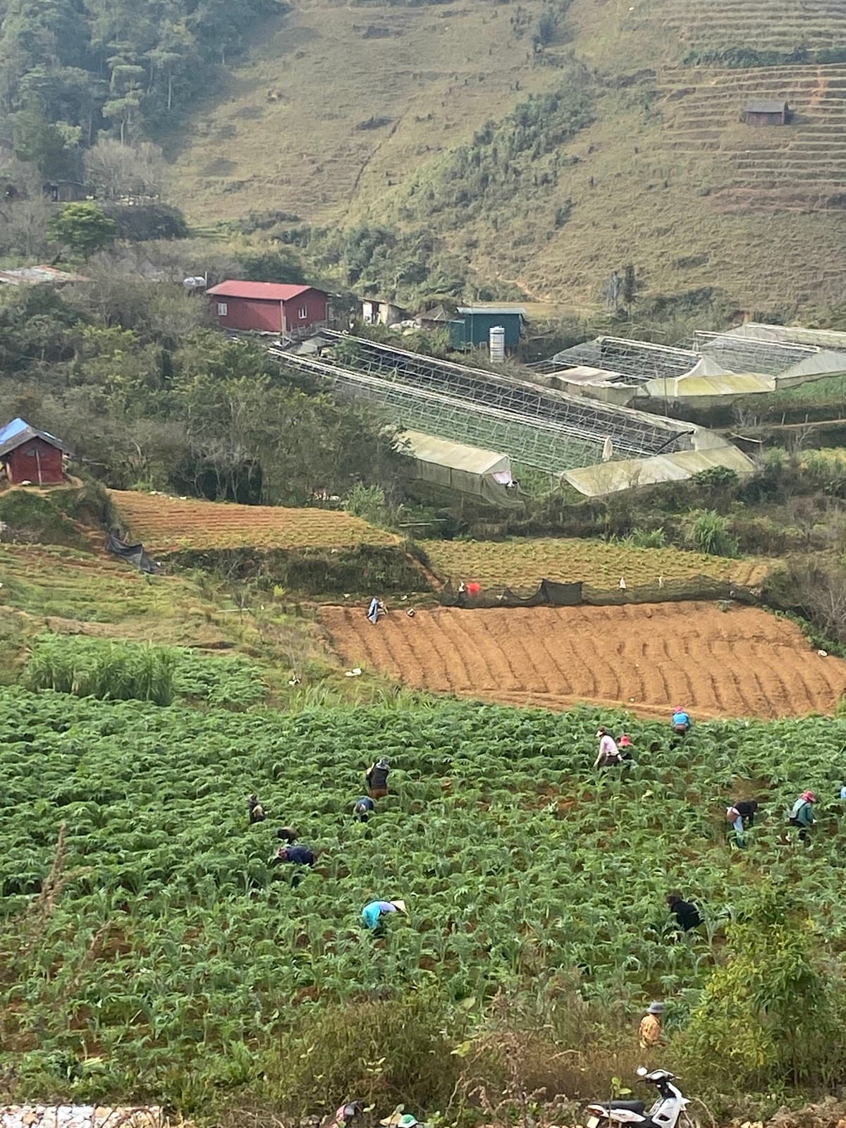 Vietnam Discovery with Sapa – Ha Long, Hanoi, Sapa, Da Nang & HCMC (10D/9N)