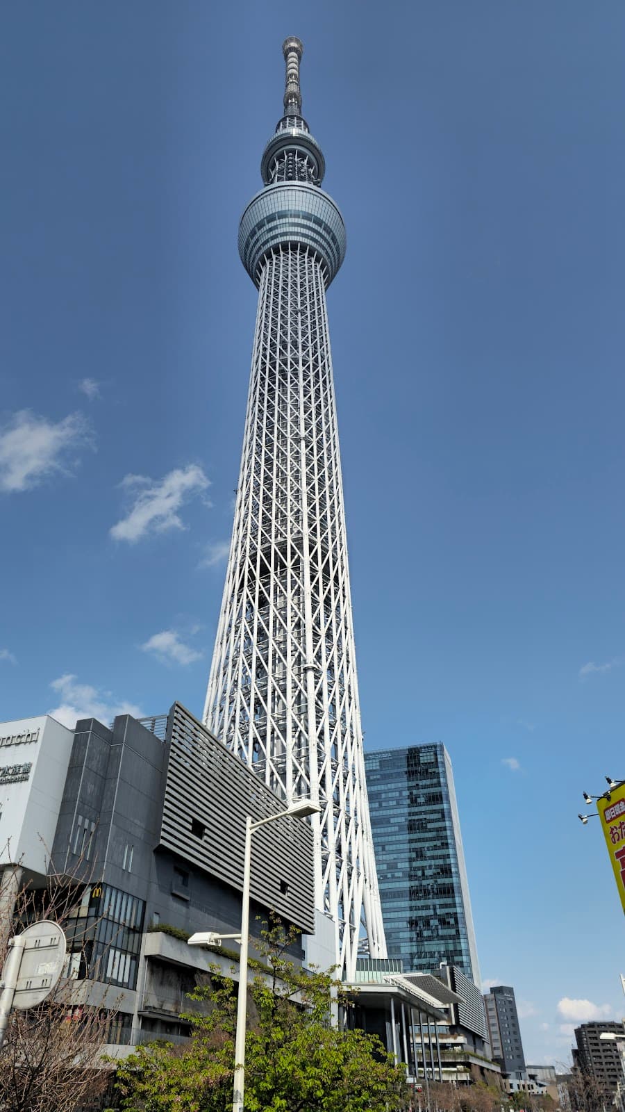 Japan Cherry Blossom Special (12D/11N) — Tokyo to Osaka